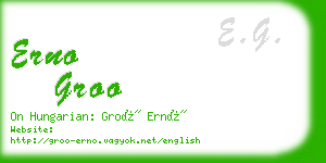 erno groo business card